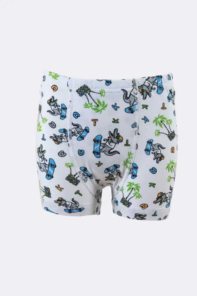 Tutku Erkek Çocuk 6'lı  Paket Renkli Desenli Boxer 5 (8-9 Yaş) - 6'lı