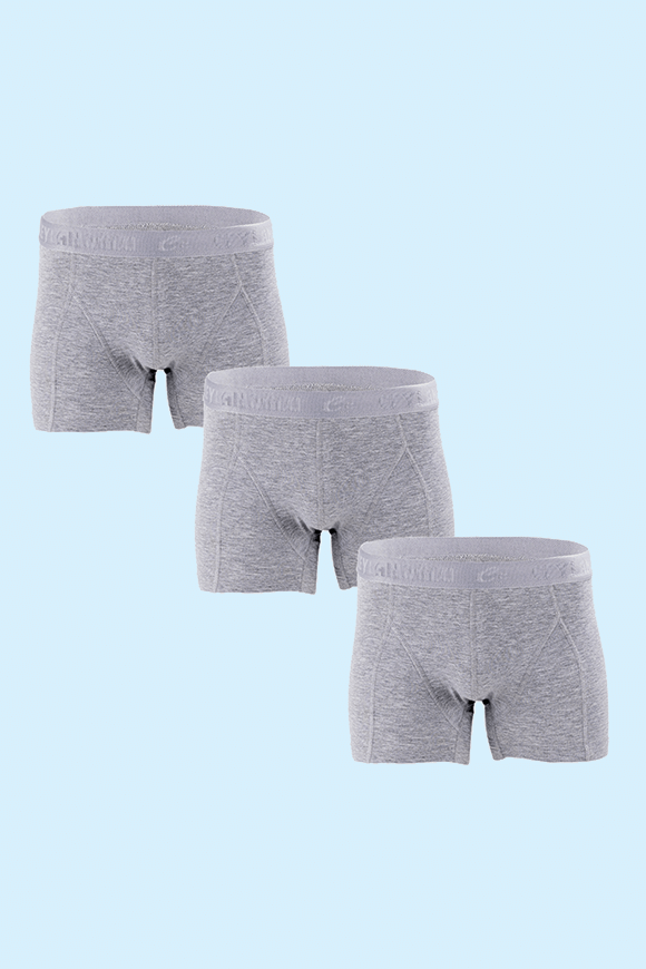 Ceylanoğlu 3'lü Paket Erkek Likralı Gri Boxer Gri - S