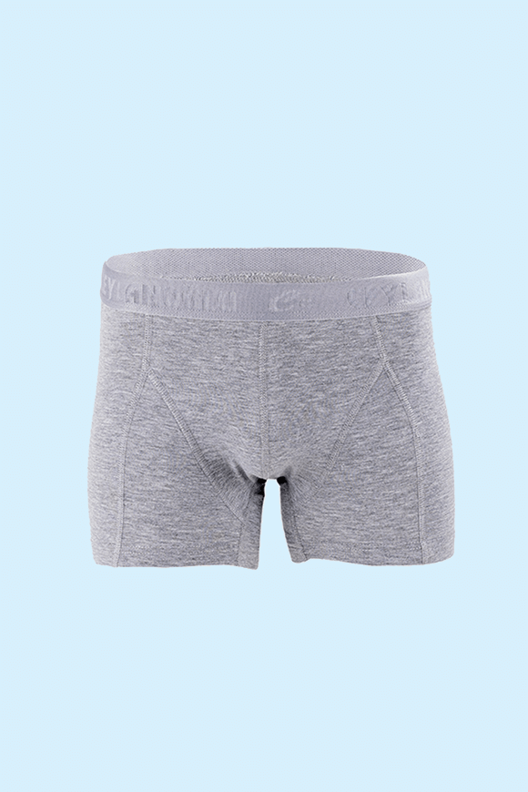 Ceylanoğlu 3'lü Paket Erkek Likralı Gri Boxer Gri - L