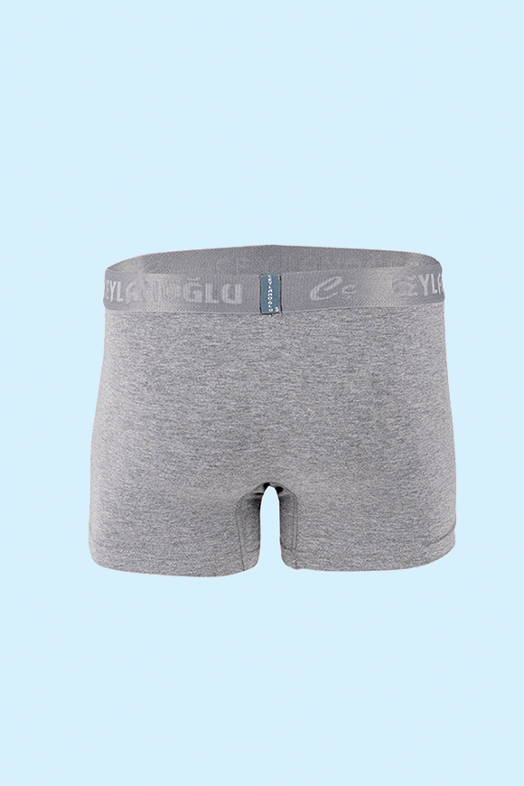 Ceylanoğlu 3'lü Paket Erkek Likralı Gri Boxer Gri - XXXL