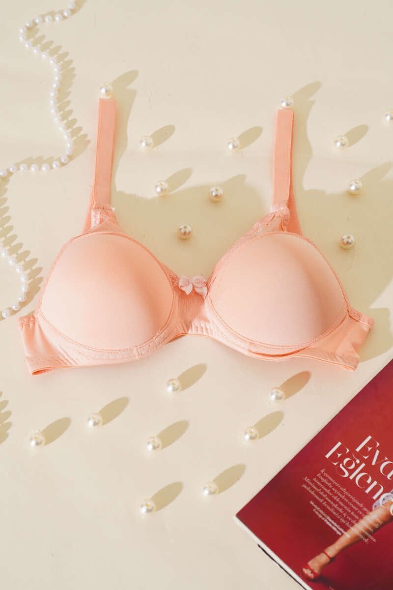 Transparan Dekolte Destekli Sütyen Somon