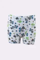 Tutku Erkek Çocuk 6'lı  Paket Renkli Desenli Boxer