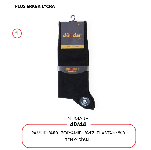 Dündar 12'li Paket 4 Mevsim Pamuk Erkek Çorap Dikişsiz 5527