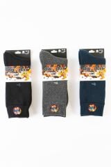 Dündar 12'li Paket Erkek Plus Havlu Termal Çorap 7019