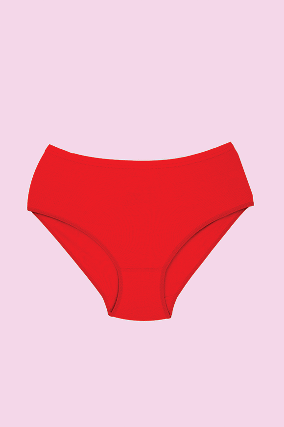 Ceylanoğlu 12'li Paket Bayan Renkli Ribana Külot